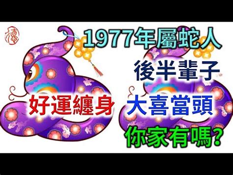 1977年是什麼年